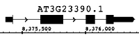 TAIR10 mRNA.jpg